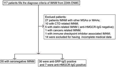 The Clinicopathological Distinction Between Seropositive and Seronegative Immune-Mediated Necrotizing Myopathy in China